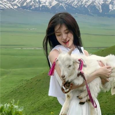 哈利·波特与火焰杯