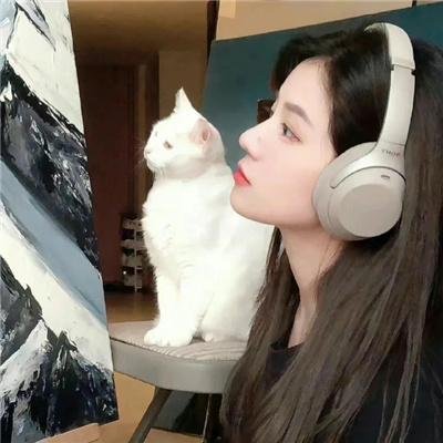 清风明月不如你